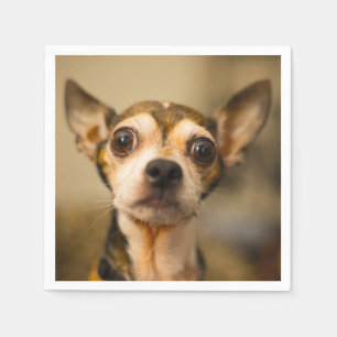 Cute & Funny Chihuahua Dog paper napkins Servetten