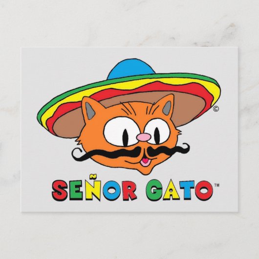 Cute Funny Colorful Cartoon Cat Cinco de Mayo Briefkaart (Voorkant)
