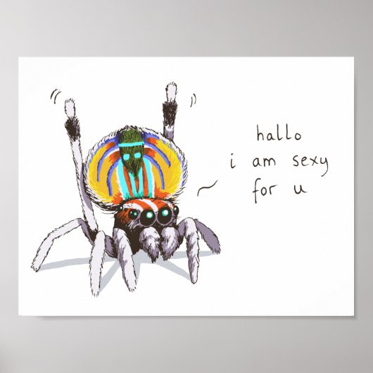 Cute Funny Colorful Peacock Spider Drawing Poster (Voorkant)