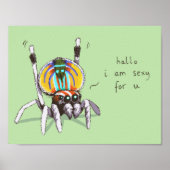 Cute Funny Colorful Peacock Spider Drawing Poster (Voorkant)