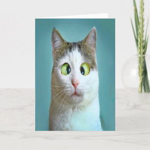 Cute Funny Crazy Cat Birthday Card Feestdagen Kaart