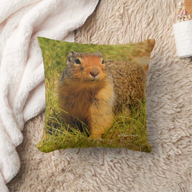 Cute Funny Curious Columbian Ground Squirrel Kussen (Deken)