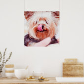 Cute & Funny Dog Close-up poster (Keuken)