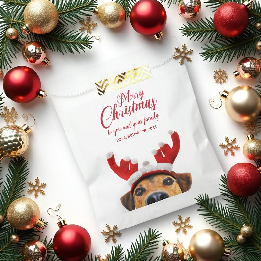 Cute Funny Dog Reindeer Antler Headband Kerstband Bedankzakje