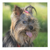 Cute & Funny Dogs (en/of UW foto's) kubus (Rechts)