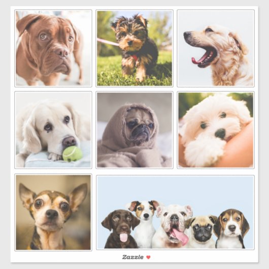 Cute & Funny Dogs (of UW foto's)-stickers Sticker (Vel)