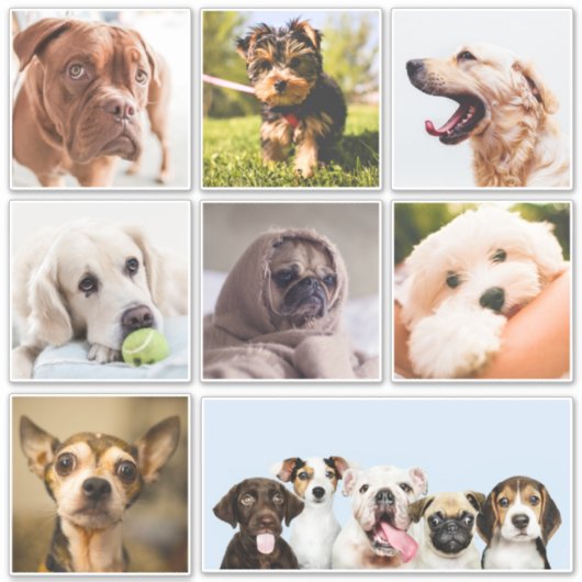 Cute & Funny Dogs (of UW foto's)-stickers Sticker (Voorkant)