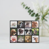 Cute & Funny Dogs Photo Collage briefkaart (Staand voorkant)