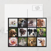 Cute & Funny Dogs Photo Collage briefkaart (Voorkant / Achterkant)