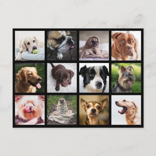 Cute & Funny Dogs Photo Collage briefkaart (Voorkant)
