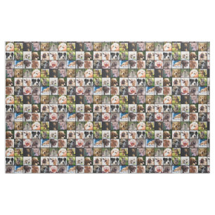 Cute & Funny Dogs Photo Collage fabric Stof