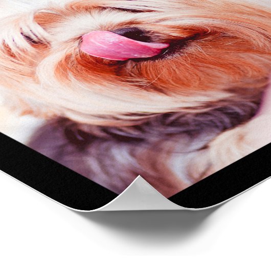 Cute & Funny Dogs Photo Collage Poster 1 (Hoek)