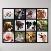 Cute & Funny Dogs Photo Collage Poster 1 (Voorkant)
