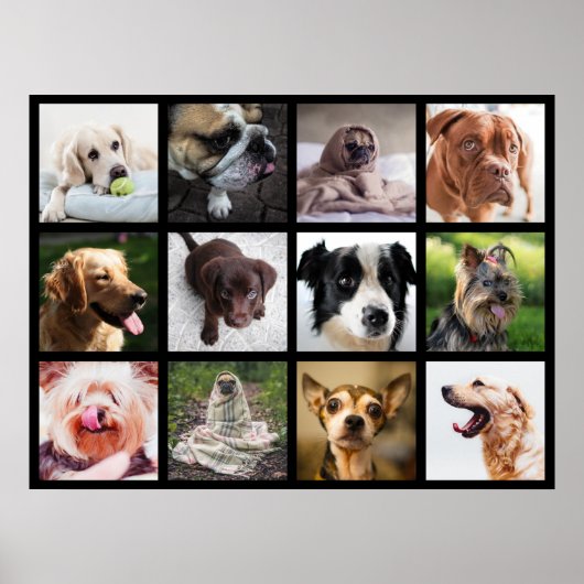 Cute & Funny Dogs Photo Collage Poster 1 (Voorkant)