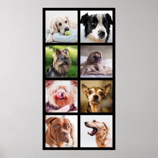 Cute & Funny Dogs Photo Collage Poster 2 (Voorkant)