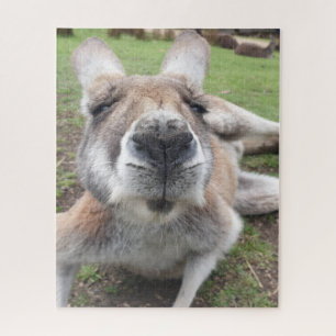 Cute Funny Face Kangaroo Educatieve Dierenfoto Legpuzzel