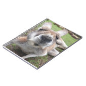 Cute Funny Face Kangaroo Educatieve Dierenfoto Notitieboek (Linkerzijde)