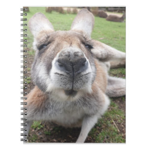 Cute Funny Face Kangaroo Educatieve Dierenfoto Notitieboek