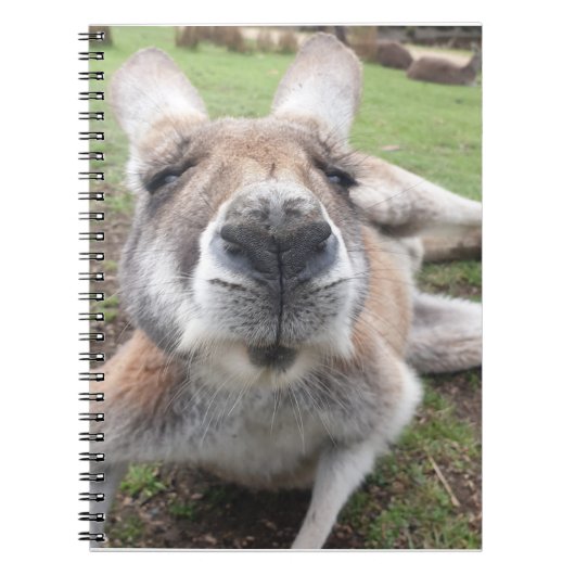 Cute Funny Face Kangaroo Educatieve Dierenfoto Notitieboek (Voorkant)