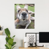 Cute Funny Face Kangaroo Educatieve Dierenfoto Poster (Thuiskantoor)
