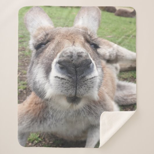 Cute Funny Face Kangaroo Kawaii Animal Australia Sherpa Deken (Voorkant)