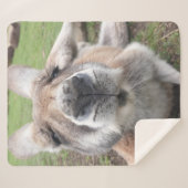 Cute Funny Face Kangaroo Kawaii Animal Australia Sherpa Deken (Voorkant (horizontaal))