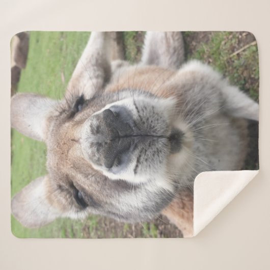 Cute Funny Face Kangaroo Kawaii Animal Australia Sherpa Deken (Voorkant (horizontaal))