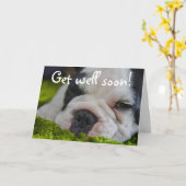 Cute Funny French Bull Dog Get Well Wenskaart Kaart (Gele Bloem)