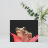 Cute, Funny Frog Holding op Lily - Briefkaart (Staand voorkant)
