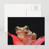 Cute, Funny Frog Holding op Lily - Briefkaart (Voorkant / Achterkant)