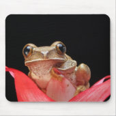 Cute, Funny Frog Holding op Lily - Muismat (Voorkant)