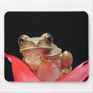 Cute, Funny Frog Holding op Lily - Muismat