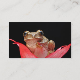 Cute, Funny Frog in Lily Visitekaartje