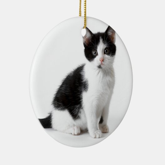 Cute Funny furry kitten black and white cat Keramisch Ornament (Rechts)