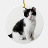 Cute Funny furry kitten black and white cat Keramisch Ornament (Voorkant)