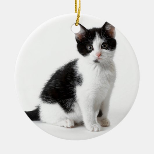 Cute Funny furry kitten black and white cat Keramisch Ornament (Voorkant)