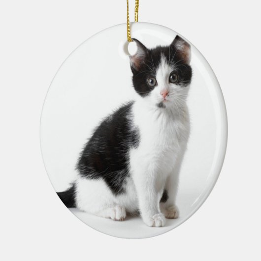 Cute Funny furry kitten black and white cat Keramisch Ornament (Links)