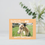 Cute Funny Goat Humor Custom Birthday Briefkaart<br><div class="desc">Stomme geit in een groene weide kijkt uit van de kaart naar jou en stuurt haar een grappige verjaardagshumor: "Je ziet er niet zo uit als de baaaa voor "Jouw geboortejaar"! Op de achterkant van briefkaart staat: "Gewoon gooien... .Je ziet er geweldig uit en ik hoop dat je de beste...</div>