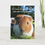 Cute Funny Guinea Pig Birthday Kaart<br><div class="desc">Een foto van een schattig proefkonijn met een zonnige dag op het gras. Geef deze kaart een persoonlijk tintje voor een liefhebber!</div>