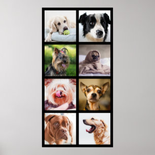 Cute & Funny Honden Foto Collage Poster 2