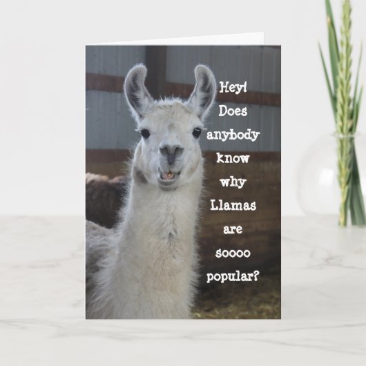Cute Funny Humoureuze Llama Birthday Kaart (Voorkant)