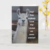 Cute Funny Humoureuze Llama Birthday Kaart (Gele Bloem)