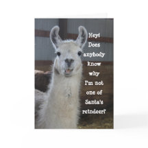 Cute Funny Humoureuze Llama Merry Kerstmis