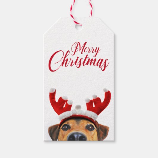 Cute Funny Kersthond Reindeer Antler Headband Cadeaulabel (Voorkant)