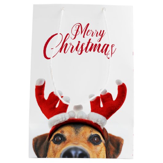 Cute Funny Kersthond Reindeer Antler Headband Medium Cadeauzakje (Achterkant)