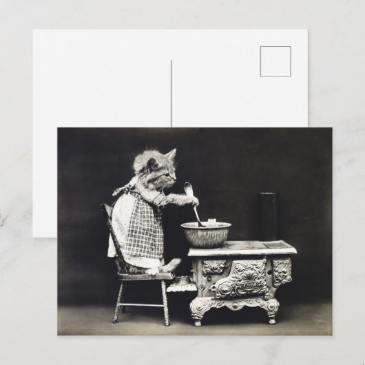 Cute  Funny Kitten Baking and Cooking Briefkaart (Voorkant / Achterkant)