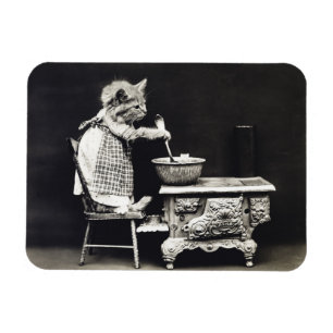 Cute Funny Kitten Baking and Cooking Magneet