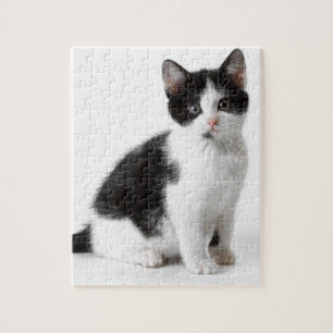 Cute Funny kitten black and white cat Legpuzzel