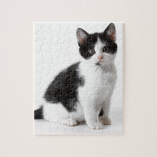 Cute Funny kitten black and white cat Legpuzzel (Verticaal)