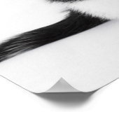 Cute Funny kitten black and white cat Poster (Hoek)